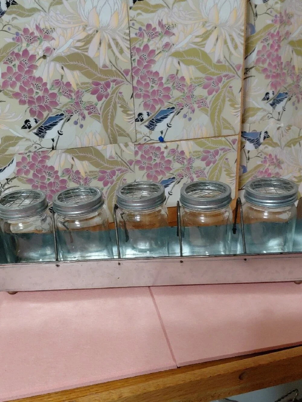 Galvanized Metal Mason Jar Organizer with 5 Clear Glass Jars